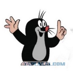 Чем кормят детей в школах разных стран?