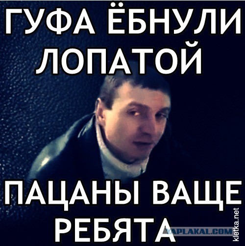 Шта,простите?