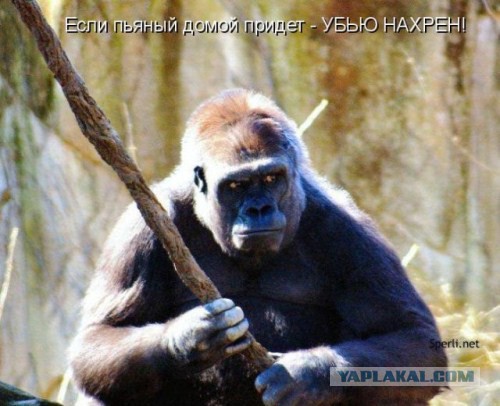 Вещи, которые нужно знать перед изменой