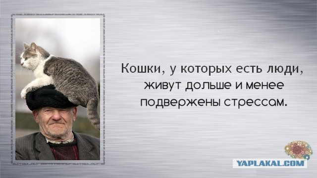Неизвестные факты обо всём