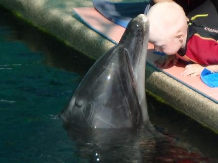 Мальчик играет с дельфином в мяч