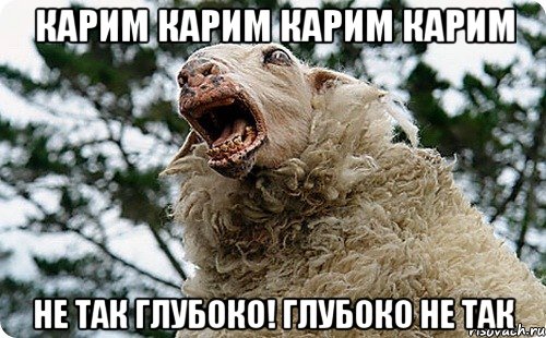 Овцанеппинг