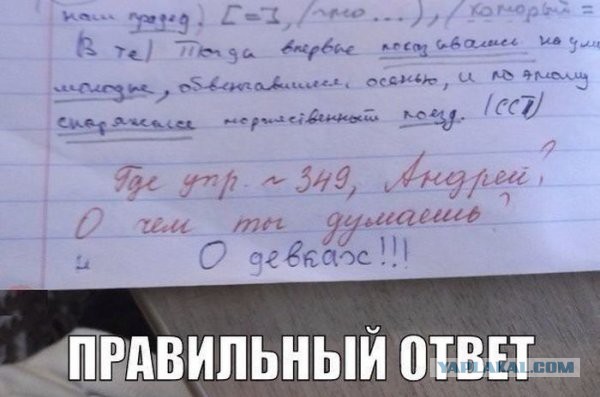 Весёлое из сети
