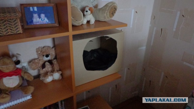 Кошкин дом или рукожопство на благо .....