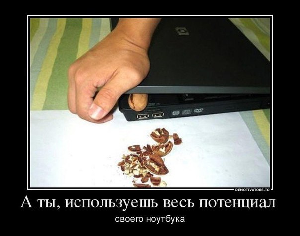 Забавные картинки из интернетов