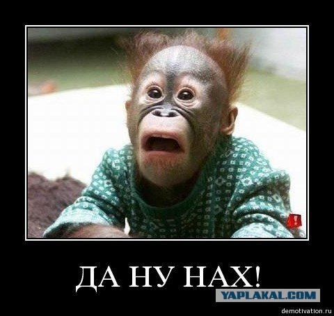 Почему растёт забор вокруг дворца Патриарха