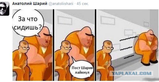 Я тебя по айпи вычислю!