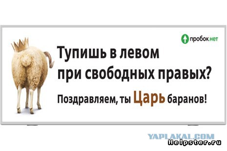 BMW и тошнот-ездун