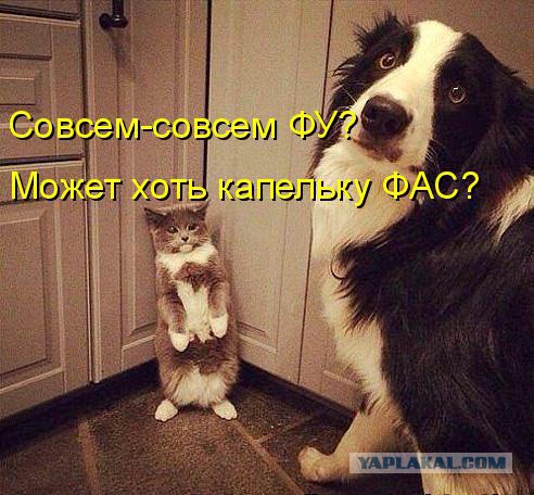 Собаки против котов