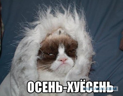 Сам ты Ми Ми Ми.