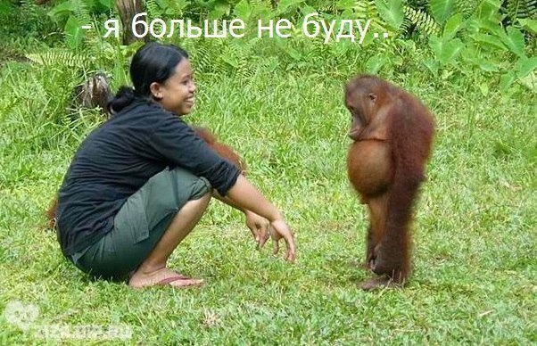 Картинки и демотиваторы
