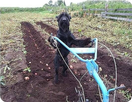 А давайте улыбнёмся В Новом Году