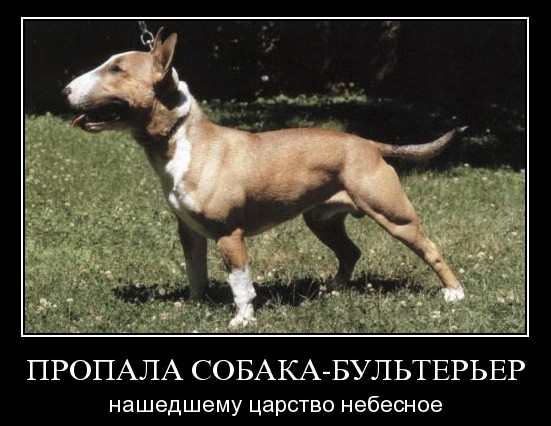 Несложное устройство для собственной безопасности