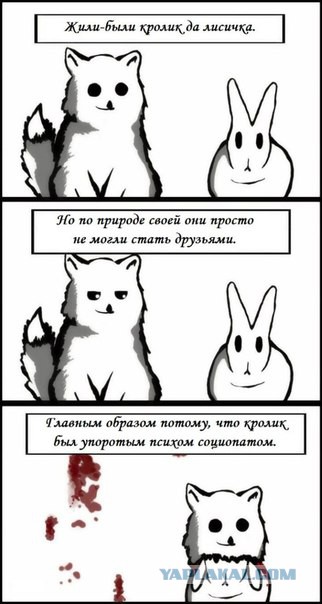 Ужасы и приколы из соцсетей 18+