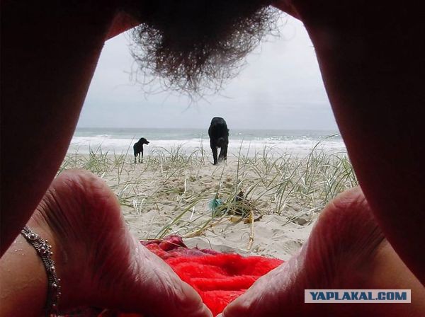 Ужасы и приколы, говорите?