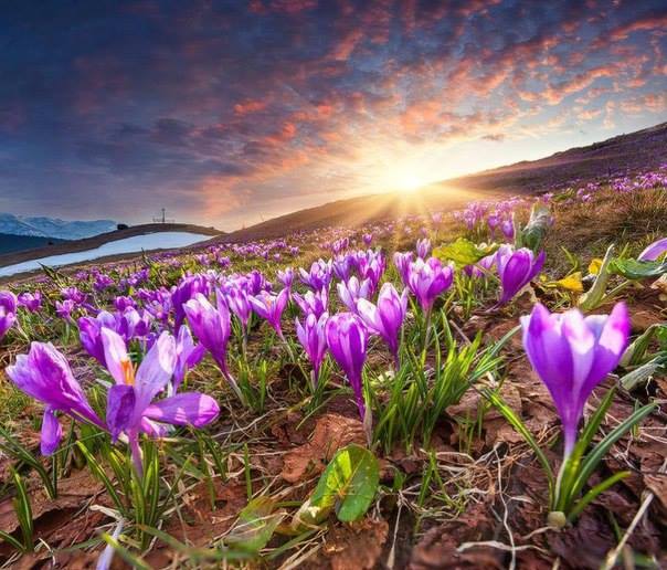 Подборка картинок 20.02.16