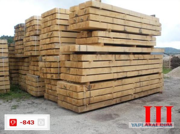 Карикатуры от Студии 13