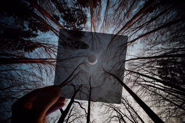 Подборка картинок 29.03.16