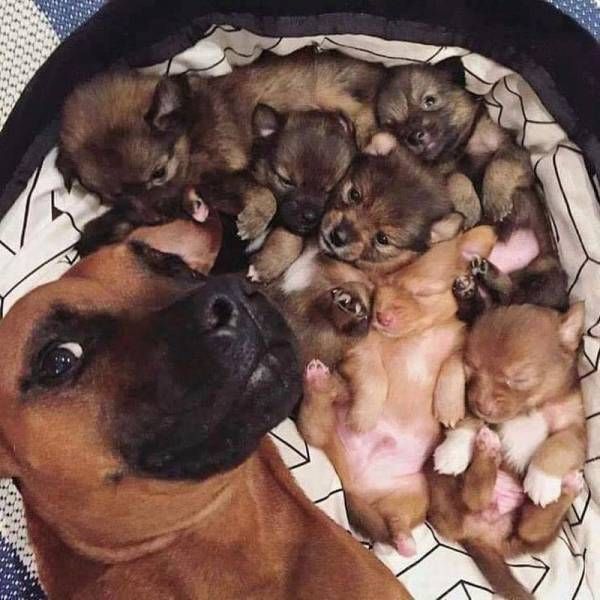 Подборка интересных и веселых картинок