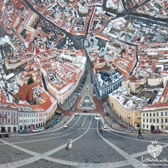 Подборка интересных и веселых картинок