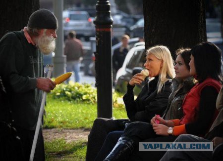 Подборка интересных и веселых фото