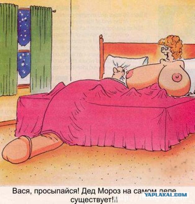 Порция картинок из сети