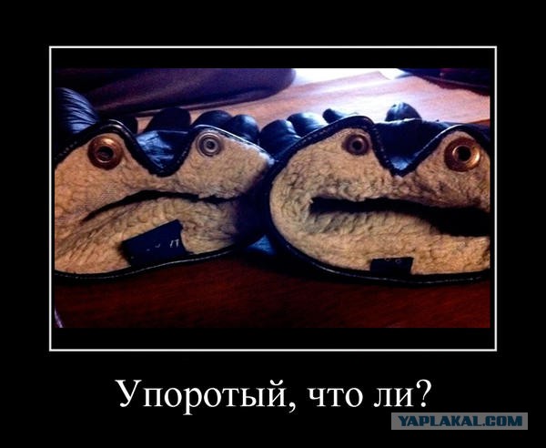 Упоротая пятиминутка