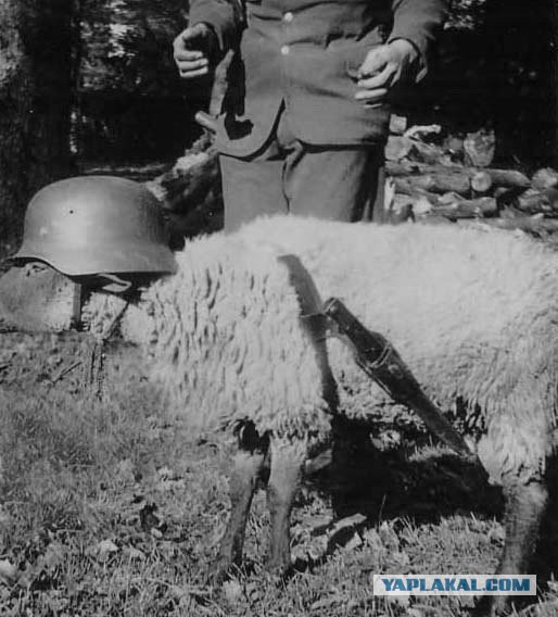 1941 год в цвете. Война