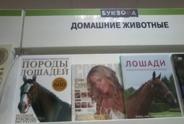 Весёлые картинки