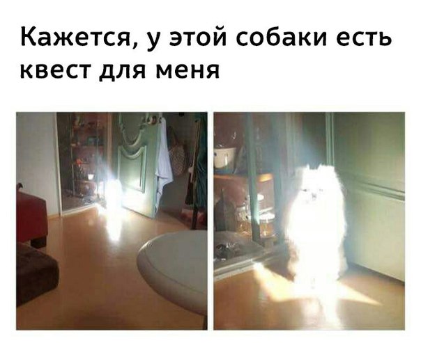 Подборка интересных и веселых картинок