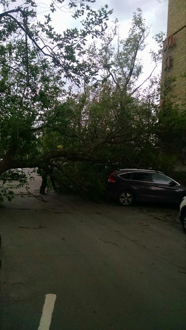 В Москве ураган!