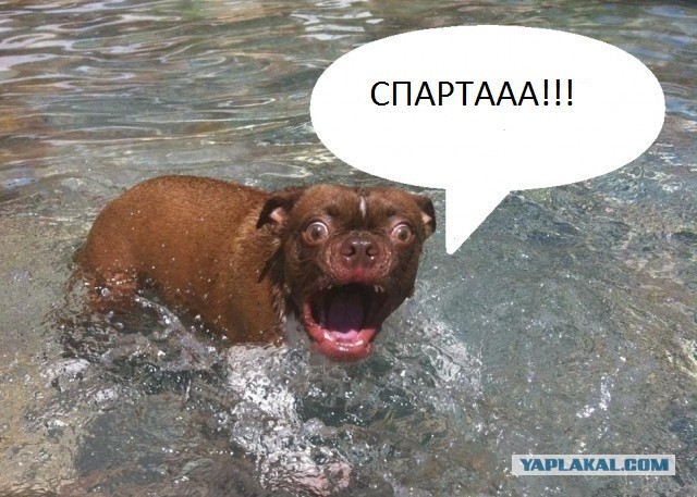 Жабельный собакен