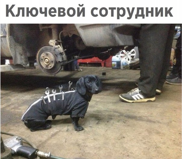 Веселые пятничные картинки