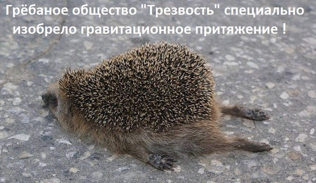 Алкоголь это целый мир