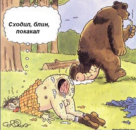 Как грамотно покакать в лесу