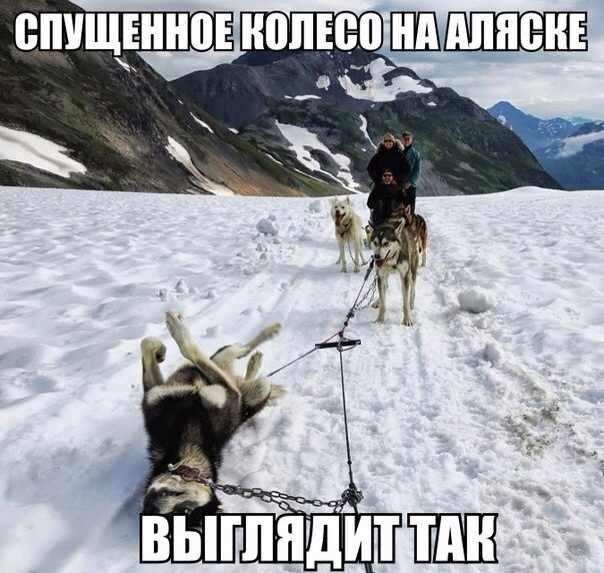 Нестандартный юмор