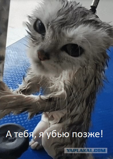 И как его наказывать?