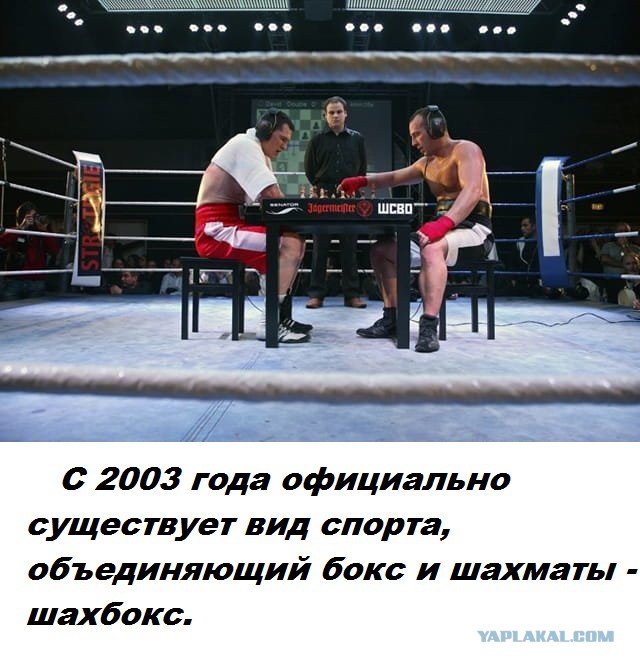 Подборка бесполезных фактов