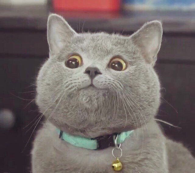 Немного милоты