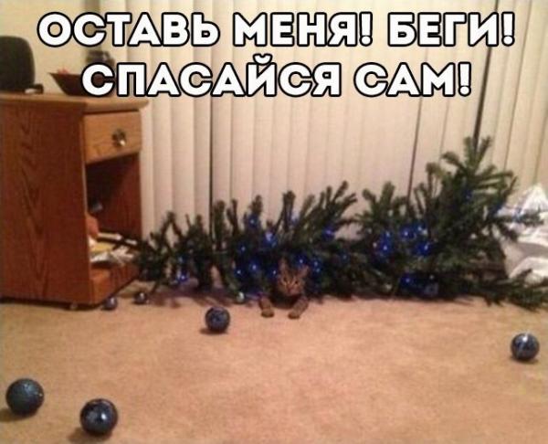 Картинки на околоновогоднюю тему
