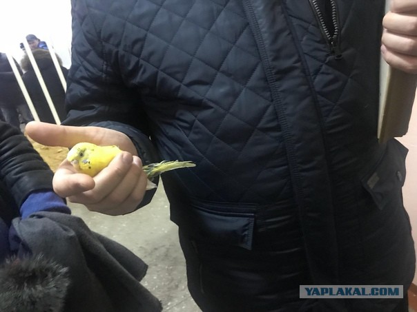 «Мы замолкали… И ребенок затихал»