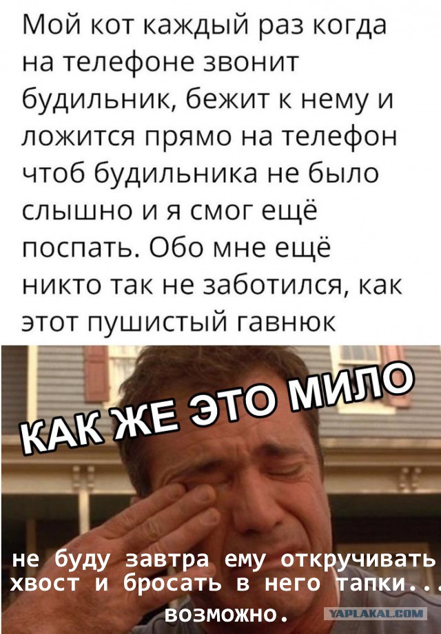 Немного картинок для настроения