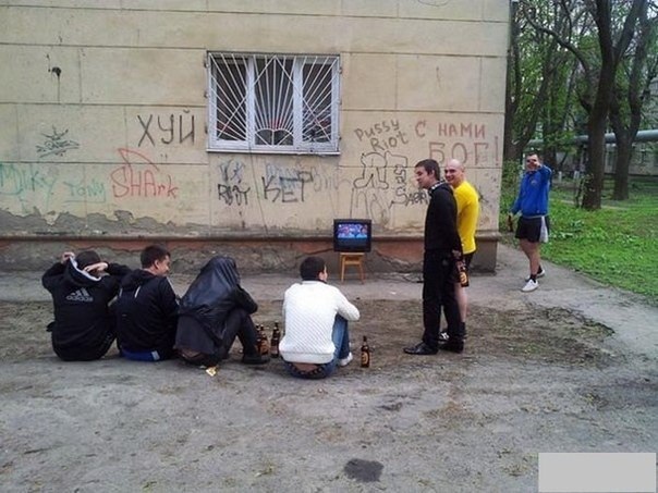 Скотсети и прочие интернеты 22.02.19
