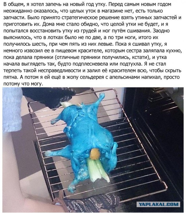 Куда катится жизнь