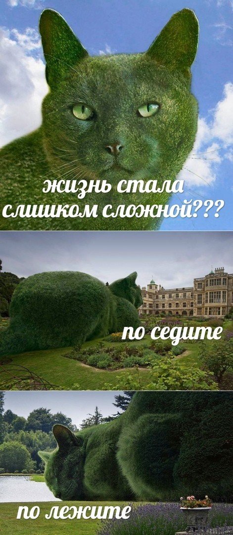 Нестандартный юмор