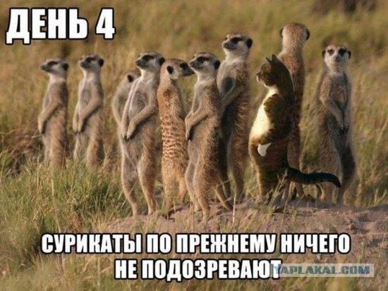 Картинки с надписями, истории и анекдоты 08.10.19