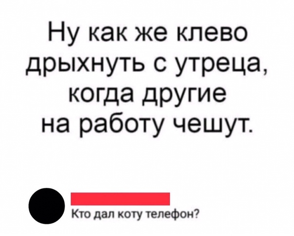 Разные и без темы