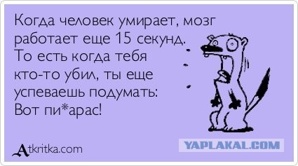 Картинок немного 25.12.19