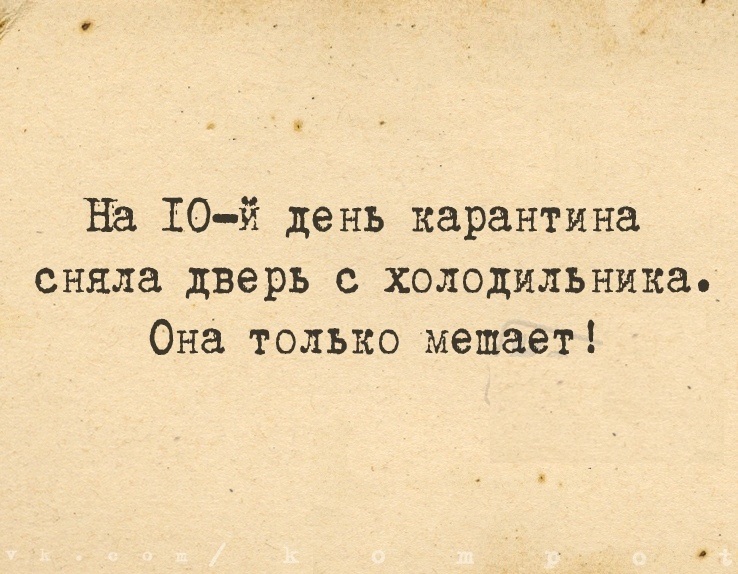 14178097.jpg