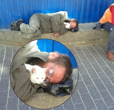 Шерстяные они такие